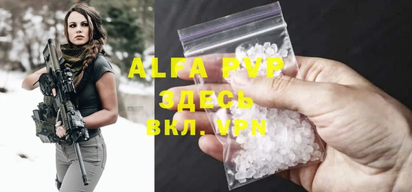 гидра Богданович
