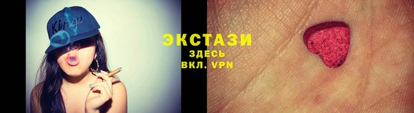 гидра Богданович
